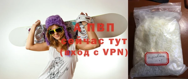 индика Армянск