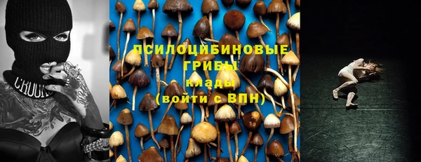 ешки Аркадак