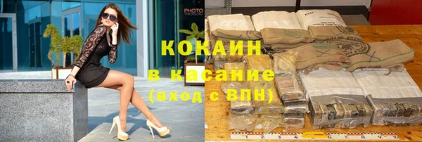 индика Армянск
