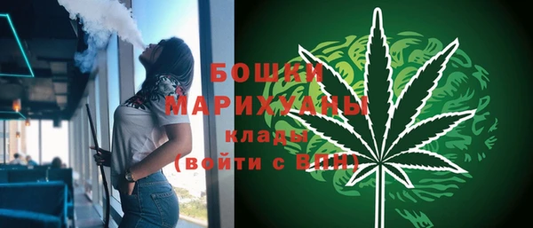 ешки Аркадак